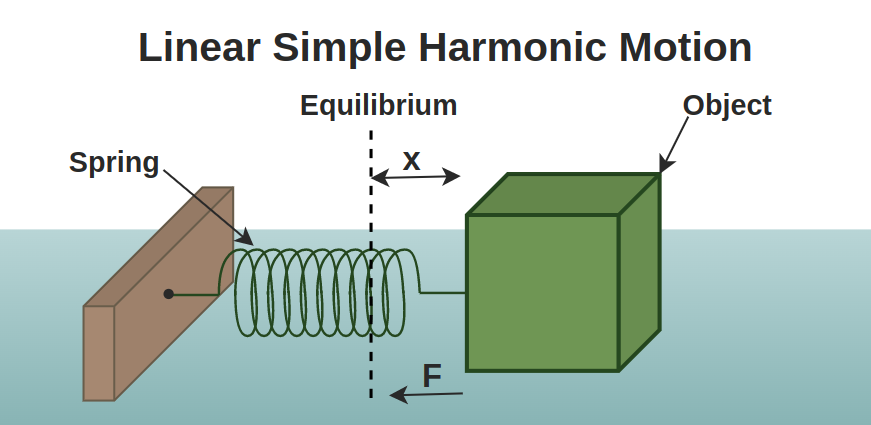 Simple Harmonic Motion